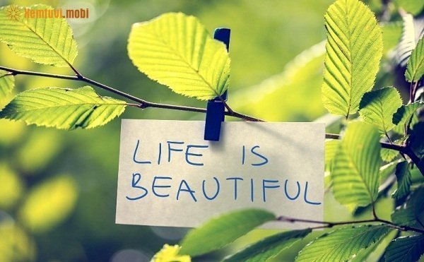 Tử vi 12 con giáp ngày 7/2/2018 thứ 4