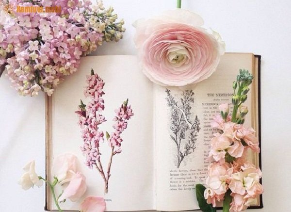 Tử vi 12 con giáp ngày 8/2/2018 thứ 5