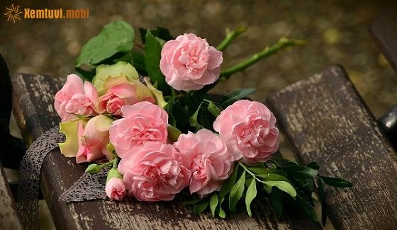 Tử vi 12 con giáp ngày 11/3/2018 chủ nhật