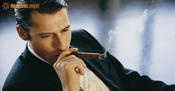 Tuổi Hợi sinh ra đã được cát tinh cao chiếu, phúc tinh che chở