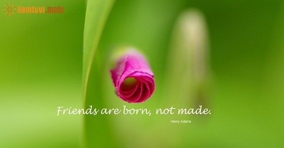 Xem tử vi ngày 21/3/2018 thứ 4