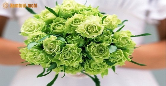 Xem tử vi ngày 19/3/2018 thứ 2