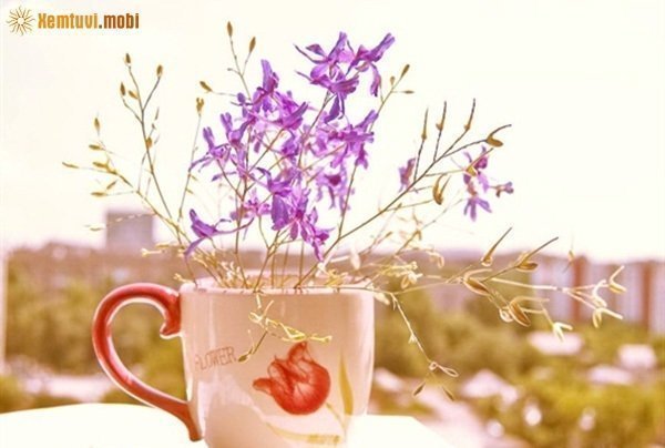 Xem tử vi ngày 7/3/2018 thứ 4