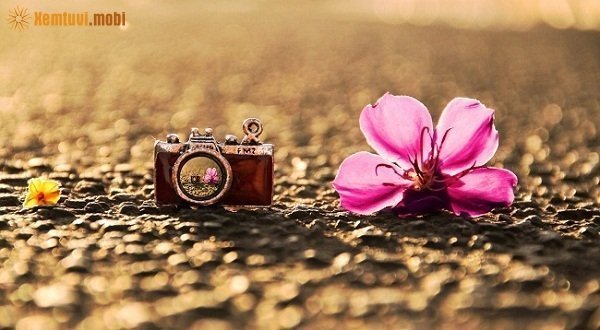 Xem tử vi 12 con giáp ngày 8/3/2018 thứ 5