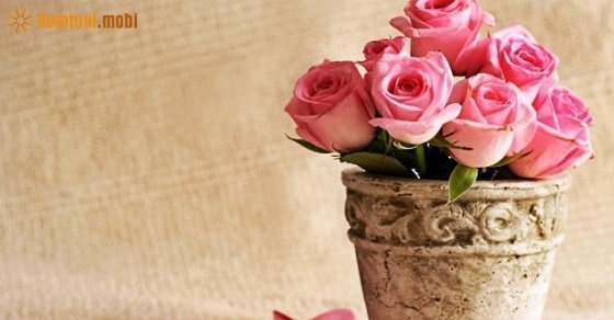 Tử vi ngày mới 12 cung hoàng đạo chủ nhật ngày 11/3/2018