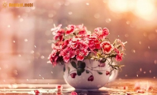 Tử vi 12 con giáp ngày 8/3/2018 thứ 5