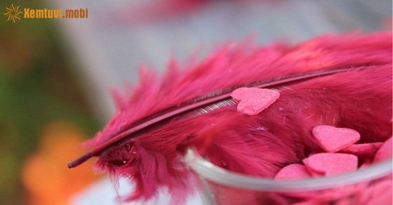 Tử vi 12 con giáp ngày 19/3/2018 thứ 2