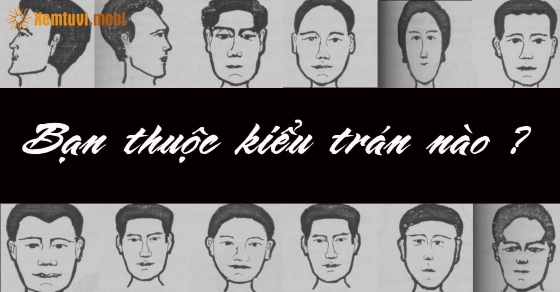 Bạn thuộc kiểu trán nào?