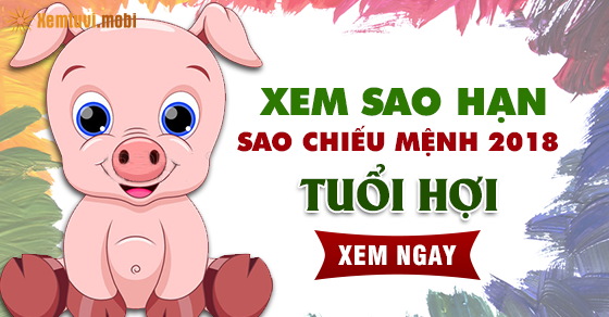 Xem sao hạn cho người tuổi Hợi năm 2018