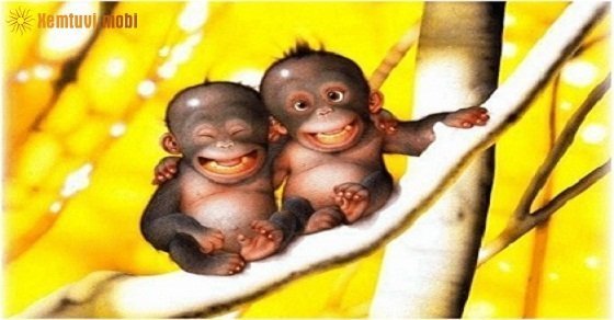 Phong thủy cho người tuổi Mậu Thân