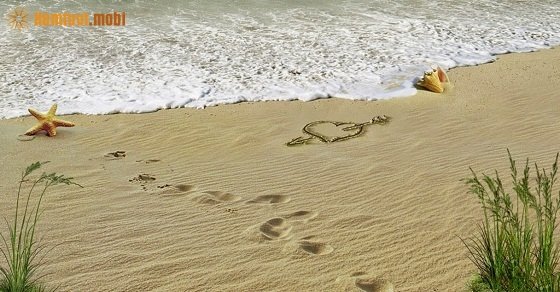 Tử vi 12 con giáp ngày 4/4/2018 thứ 4