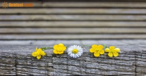 Tử vi 12 con giáp ngày 17/4/2018 thứ 3