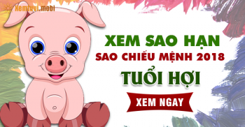 Xem sao hạn, sao chiếu mệnh năm 2018 cho người tuổi Hợi Xem sao hạn, sao chiếu mệnh năm 2018 cho người tuổi Hợi