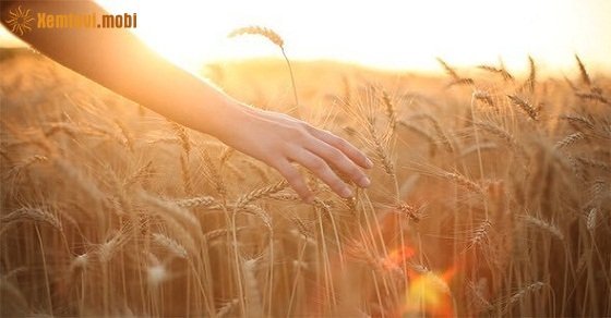 Xem tử vi ngày 1/5/2018 thứ 3 Xem tử vi ngày 1/5/2018 thứ 3