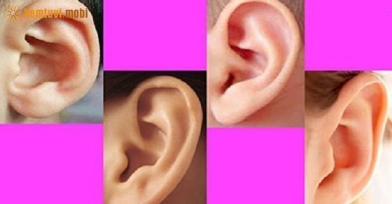 Xem tướng bằng tai Xem tướng bằng tai