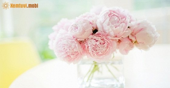 Xem tử vi 12 con giáp ngày 17/5/2018 thứ 5 Xem tử vi 12 con giáp ngày 17/5/2018 thứ 5