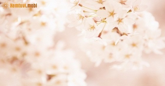 Xem tử vi ngày 03/05/2018 thứ 5 Xem tử vi ngày 03/05/2018 thứ 5