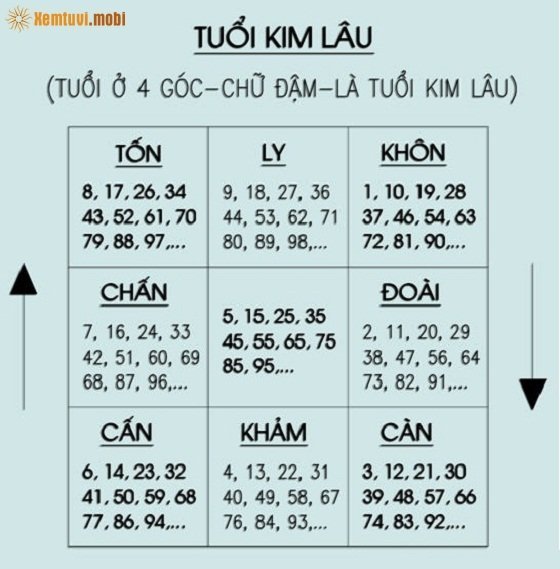 Bàn tay kim lâu - Cách tính kim lâu chính xác