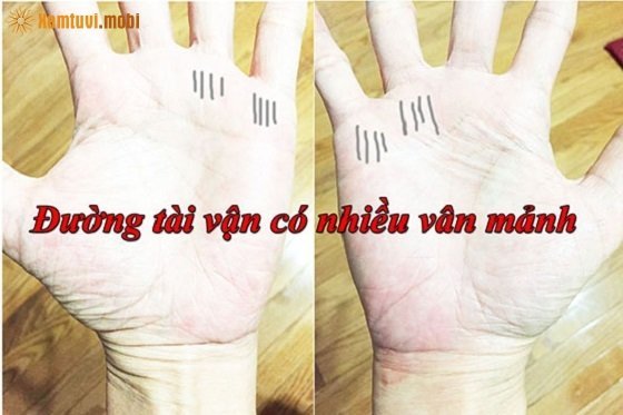 Xem đường chỉ tay trên gò Thủy Tinh