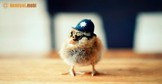 Tử vi 12 con giáp ngày 7/6/2018 thứ 5