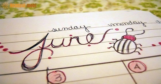 Tử vi 12 con giáp ngày 11/6/2018 thứ 2 Tử vi 12 con giáp ngày 11/6/2018 thứ 2