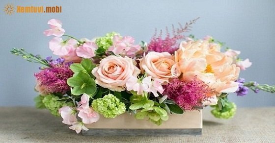 Xem tử vi 12 con giáp ngày 17/6/2018 chủ nhật Xem tử vi 12 con giáp ngày 17/6/2018 chủ nhật