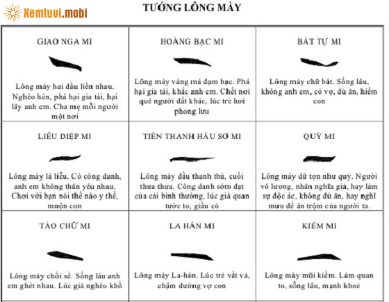 Nắm Bắt Vận Mệnh Định Hướng Cuộc Sống Toàn Vẹn Với Hồ Sơ Bát Tự Trọn Đời