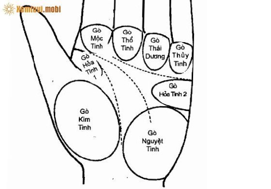 Xem bói tử vi tướng số qua gò Hỏa Tinh trên bàn tay