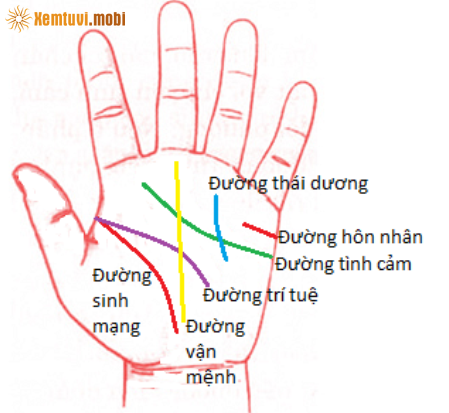 Cách xem bói chỉ tay, vân tay cho nam chính xác nhất