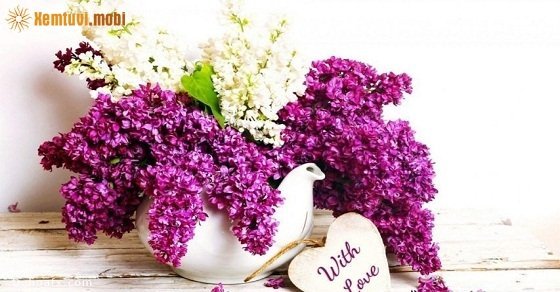 Xem tử vi ngày 14/06/2018 thứ 5 Xem tử vi ngày 14/06/2018 thứ 5