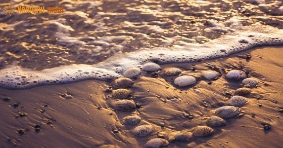 Tử vi 12 con giáp ngày 5/6/2018 thứ 3 Tử vi 12 con giáp ngày 5/6/2018 thứ 3