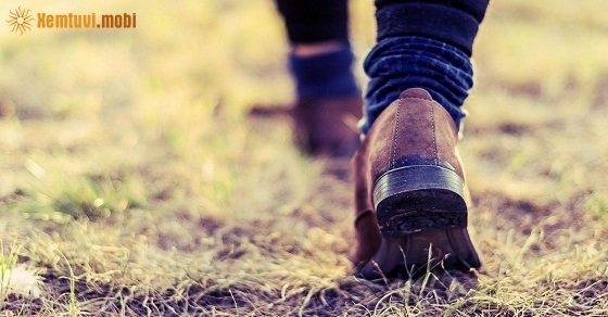 Tử vi 12 con giáp ngày 6/6/2018 thứ 4 Tử vi 12 con giáp ngày 6/6/2018 thứ 4