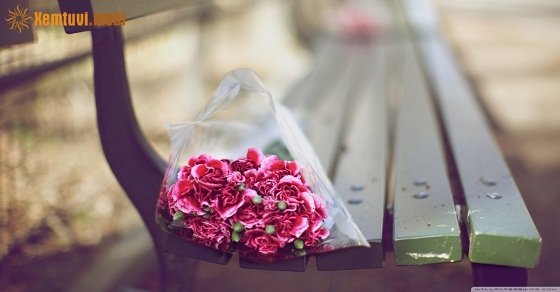 Tử vi 12 con giáp ngày 15/6/2018 thứ 6 Tử vi 12 con giáp ngày 15/6/2018 thứ 6