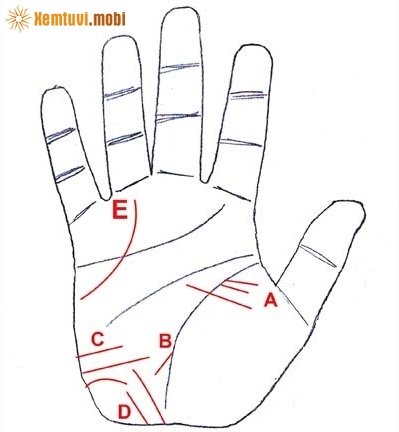 Xem chỉ tay đường xuất ngoại đầy đủ và chi tiết nhất