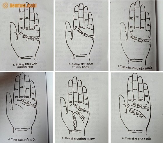 Xem chỉ tay đường tình duyên tình yêu cho nam và nữ