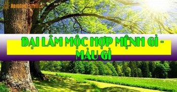 Mệnh đại lâm mộc hợp với mệnh, màu gì? Mệnh đại lâm mộc hợp với mệnh, màu gì?