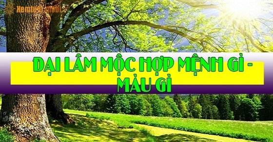 Đại Lâm Mộc hợp với màu gì, mệnh gì