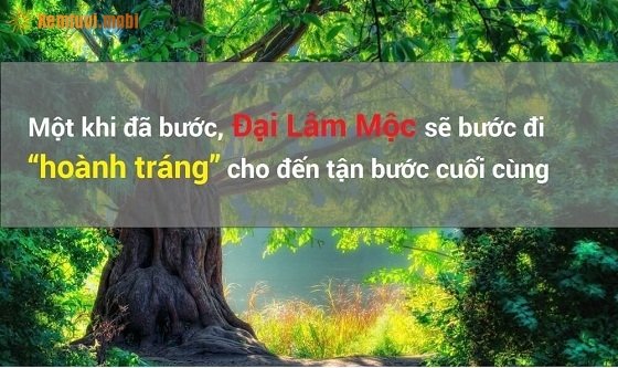 Tổng hợp với hơn 97 hình nền đại lâm mộc mới nhất  thtantai2eduvn