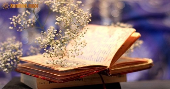 Tử vi 12 con giáp ngày 14/7/2018 thứ 7