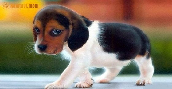 Tử vi 12 con giáp ngày 2/8/2018 thứ 5 Tử vi 12 con giáp ngày 2/8/2018 thứ 5