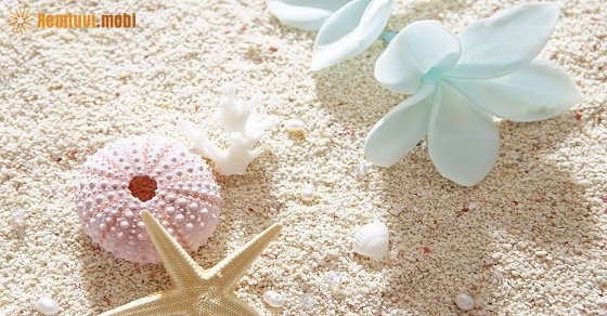 Tử vi 12 con giáp ngày 22/7/2018 chủ nhật Tử vi 12 con giáp ngày 22/7/2018 chủ nhật