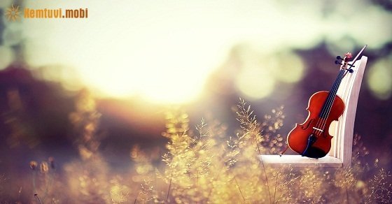 Xem tử vi 12 con giáp ngày 16/7/2018 thứ 2 Xem tử vi 12 con giáp ngày 16/7/2018 thứ 2