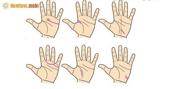  Xem chỉ tay đoán vận mệnh giàu nghèo, sang hèn