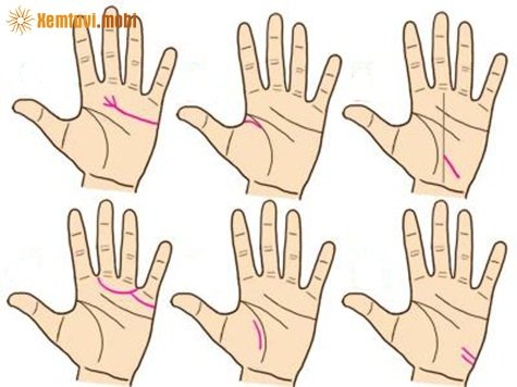 Xem chỉ tay đường may mắn trên lòng bàn tay Xem chỉ tay đường may mắn trên lòng bàn tay