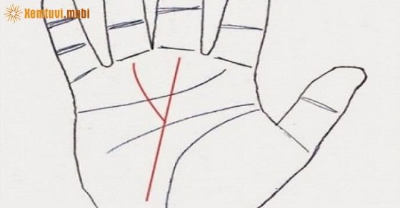 Đường chỉ tay hình chữ M tiết lộ những sự thật thú vị về bạn