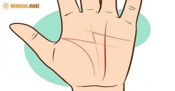 Xem chỉ tay chữ M - Bói tướng bàn tay hình chữ M số phận như thế nào? Xem chỉ tay chữ M - Bói tướng bàn tay hình chữ M số phận như thế nào?
