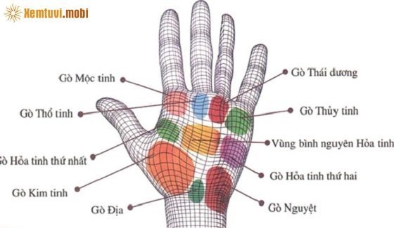 Đặc điểm trên gò bàn tay báo hiệu tiền tài