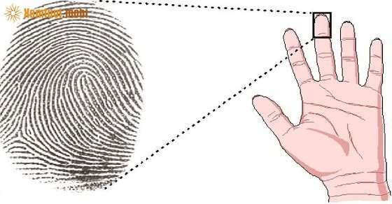 Xem bói theo số hoa tay đoán tài năng, vận mệnh, tương lai