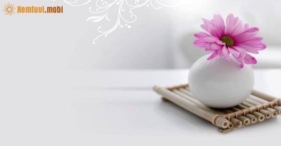 Tử vi 12 con giáp ngày 24/7/2018 thứ 3 Tử vi 12 con giáp ngày 24/7/2018 thứ 3