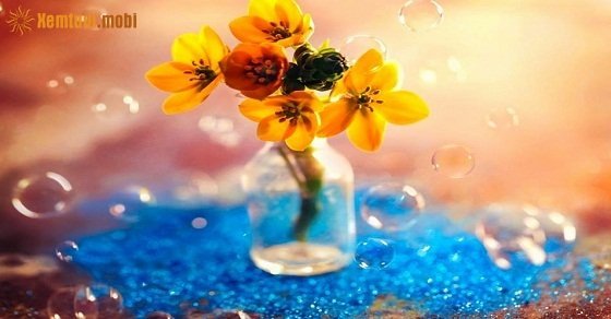 Xem tử vi ngày 14/07/2018 thứ 7